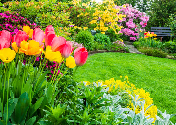porady, porady ogrodnicze, maj, wiosna, ochrona, przesadzanie, wysiew, rośliny, ogród, dobrerady, centrumogrodnicze, ogrodnik, jucca, tarnowo podgórne, poznań﻿