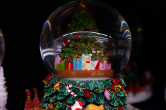 Jucca-kula-Swiateczna