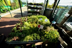 IMG_1264.CR2_