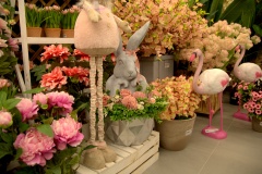 IMG_4306.CR2_