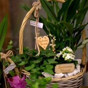 IMG_0327.CR2_