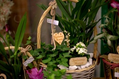 IMG_0327.CR2_