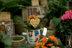 IMG_0584.CR2_