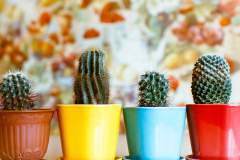 Projekt bez nazwy - 1