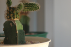 Projekt bez nazwy - 3