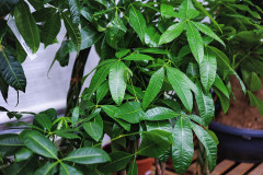 DI1A3164_2