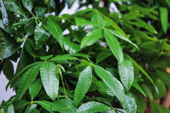 DI1A3165_2