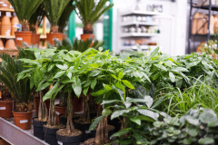 Evoto-1-of-44-—-kopia