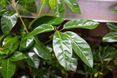 Evoto-6-of-44-—-kopia