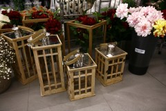 Lampiony Jucca