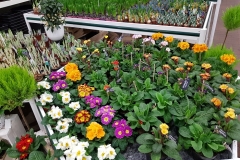 20200116_161912