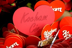 IMG_2696.CR2_