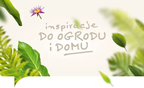 Inspiracje do ogrodu i domu