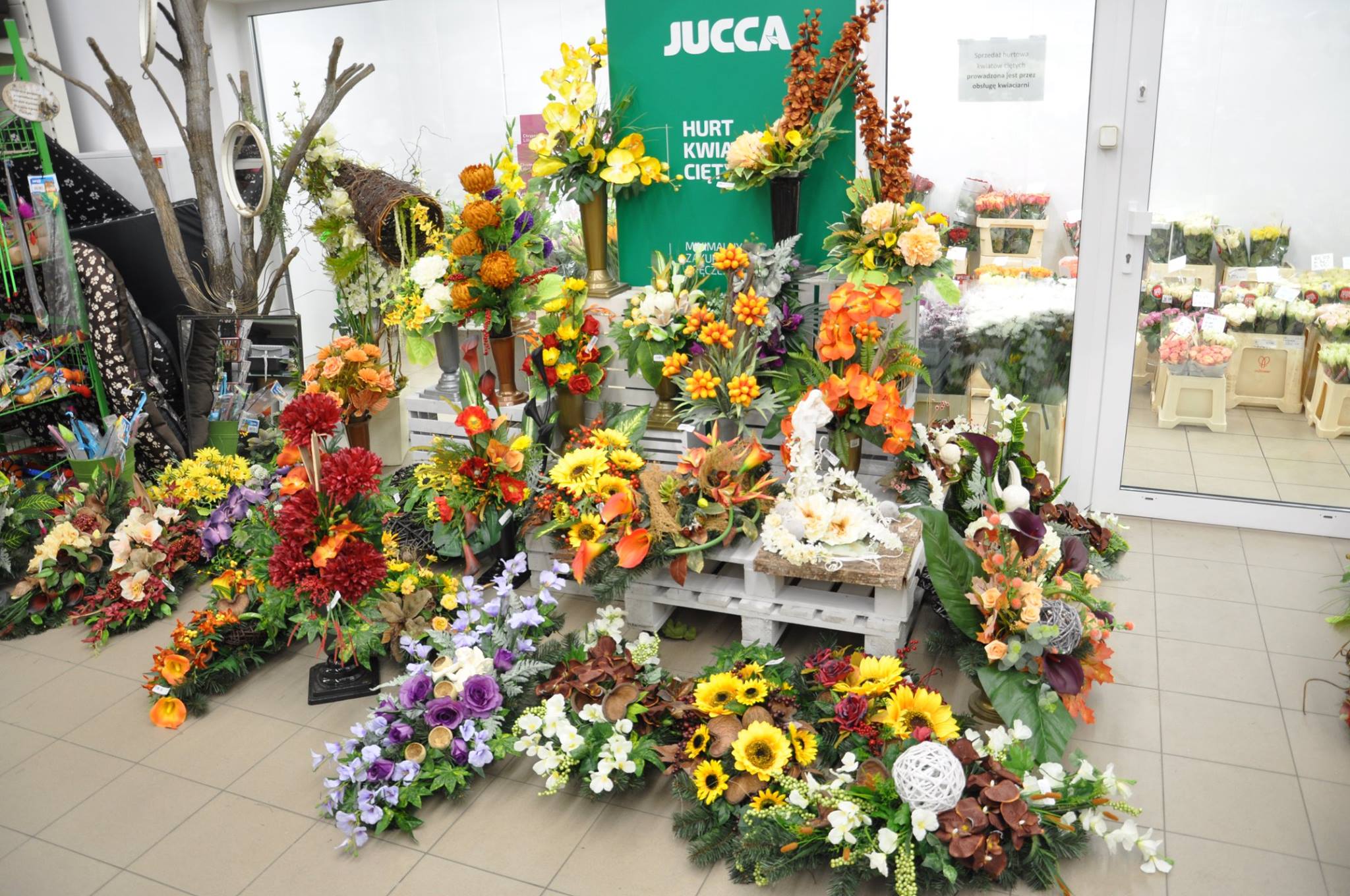 Centrum Ogrodnicze Jucca. Dekoracje Świąteczne: Halloween, Bożenarodzenie