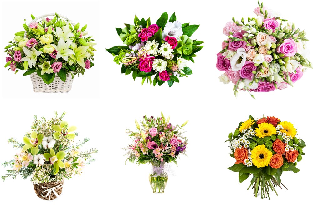 8 marca, dzień kobiet, kwiaty dla Pań, kwiaty cięte, doniczkowe, bukiety, florystyka, kompozycje, jucca, centrum ogrodnicze, poznań, tarnowo podgórne